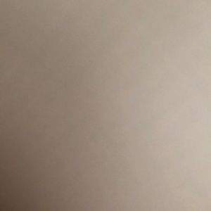 Meet your Posher, Amari